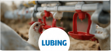 Lubing kanatlı hayvan suluk sistemleri